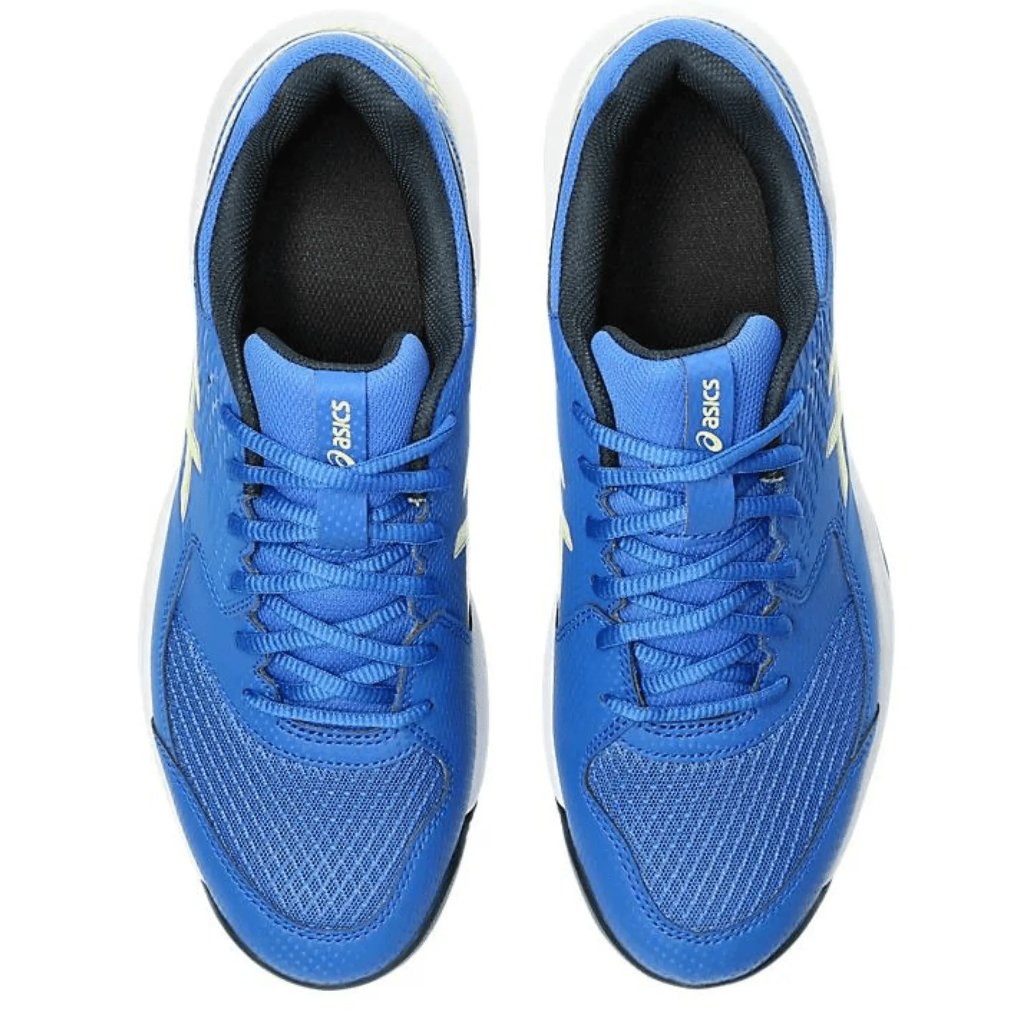 Chaussures de padel Asics GEL-DEDICATE 8 M