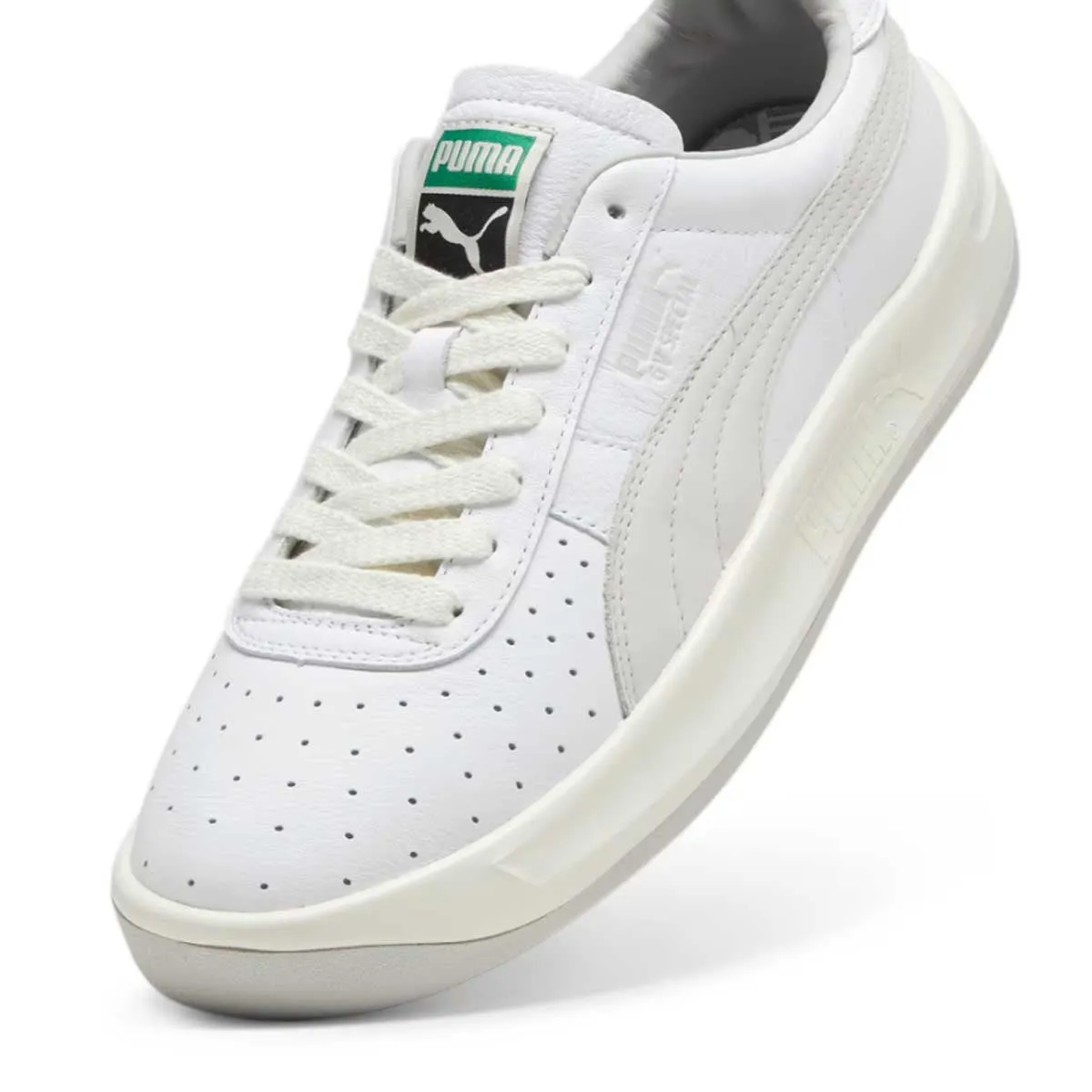 GV Special Base 'Glacier Blanc Gris'