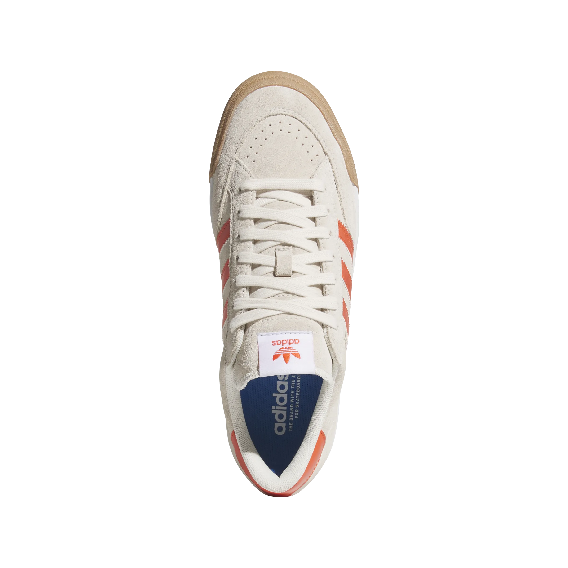 Nora 'Orange Blanc Merveilleux'