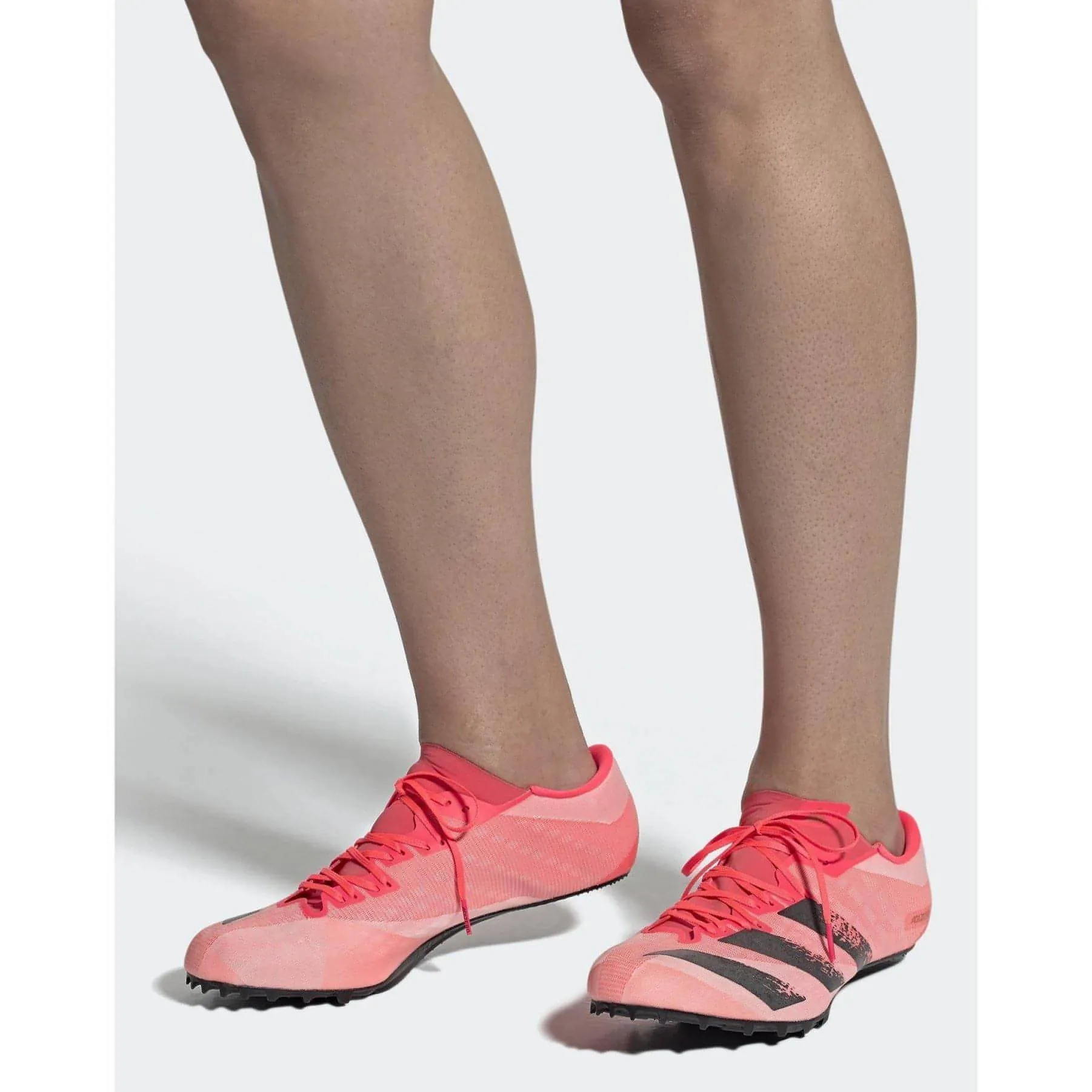 Chaussures Adidas Homme Adizero Prime SP Pointes de Course - Rose